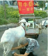 这是要赔死的节奏啊！