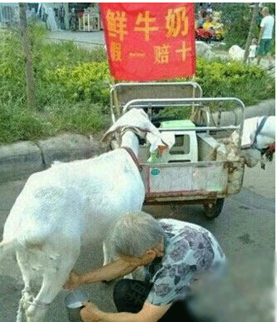 这是要赔死的节奏啊！