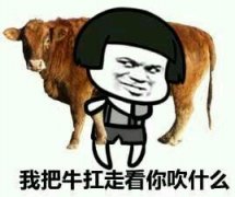 器的那一头就会跑出一头肥猪来