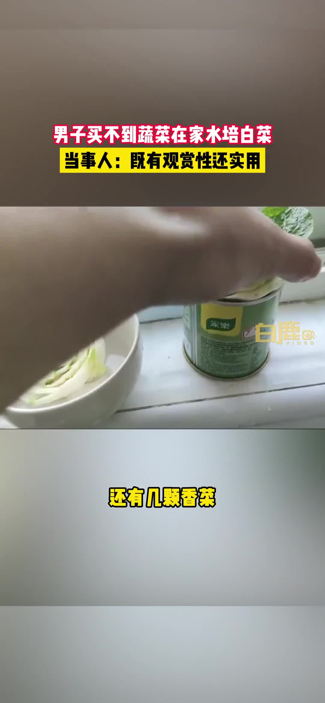 轻松一刻：清明节居然不放假，老板是没祖坟吗？