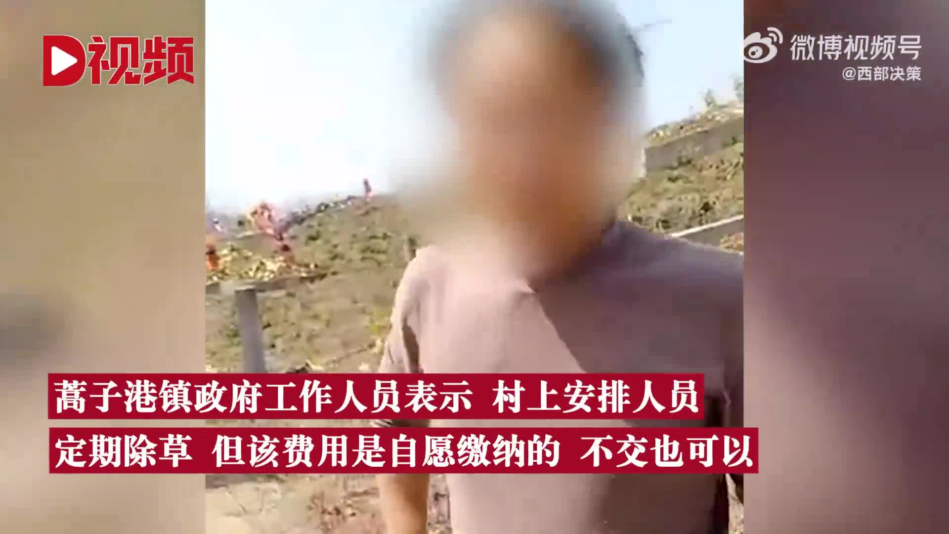 轻松一刻：清明节居然不放假，老板是没祖坟吗？