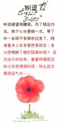 特么这次算你运气好