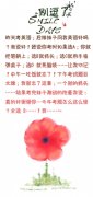 中午一吃饭就忘了! 中午一吃饭就忘了!