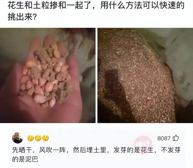 神回复:大脑不小心进水了,该怎么办? 神回复:大脑不小心进水了,该怎么办?