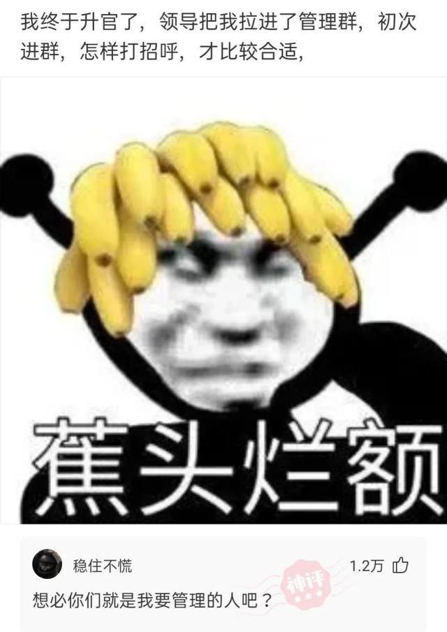 神回复:大脑不小心进水了,该怎么办? 神回复:大脑不小心进水了,该怎么办?