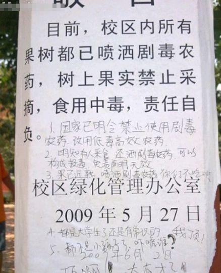 大学生不是那么好忽悠的，回复亮了