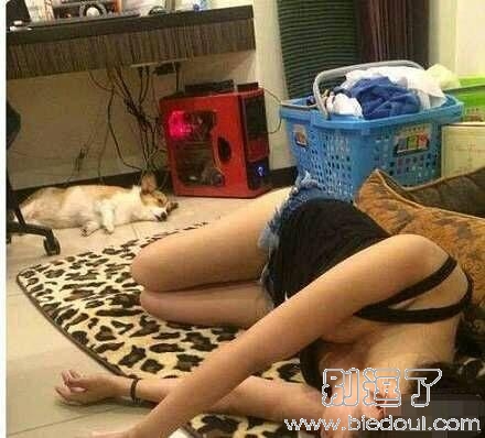 狗狗真的是只是睡觉么