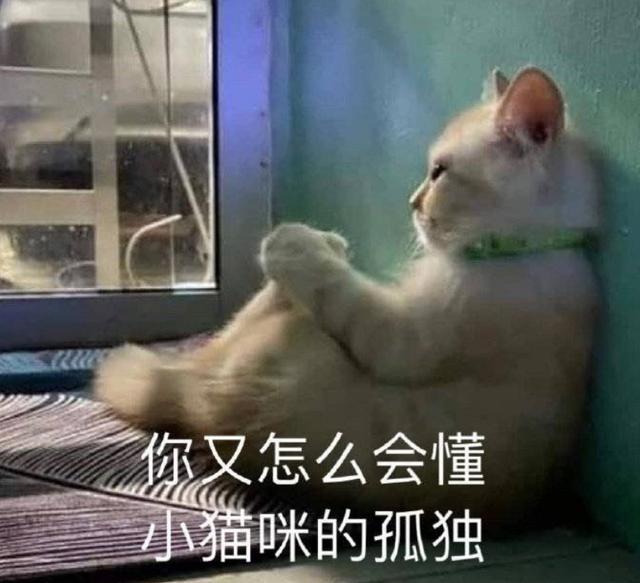 入室后不偷任何东西，只把猫剃秃了犯法吗？