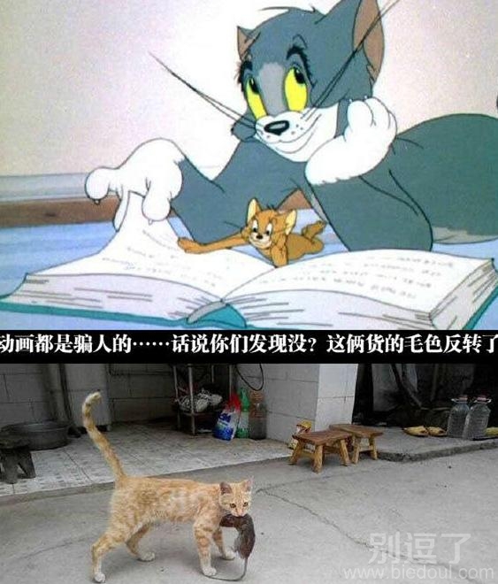 这两个货的毛色反转了。 这两个货的毛色反转了。