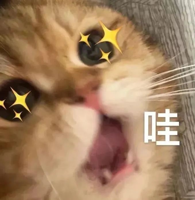 这狮子怎么狗里狗气的 这狮子怎么狗里狗气的