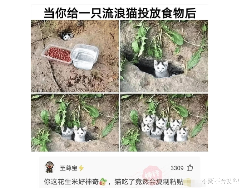 “我和女票在一个月80元的房子,整整住了半年!” “我和女票在一个月80元的房子,整整住了半年!”
