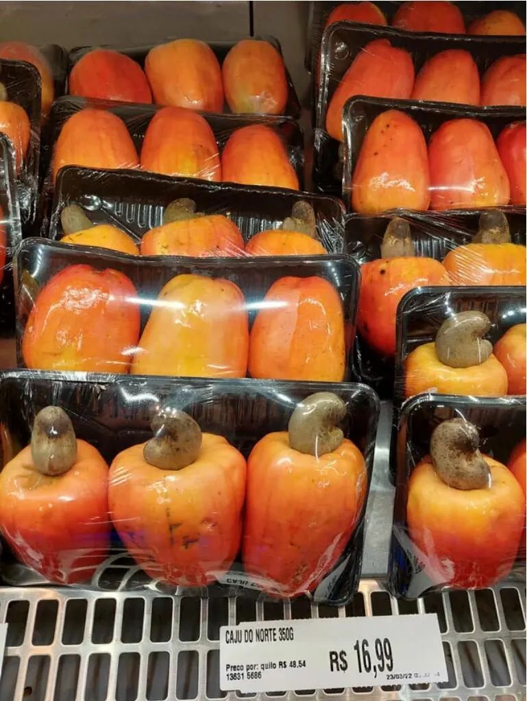 每日壹乐 每日壹乐