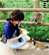 下面那只看起来不太正经