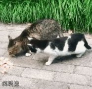 我吃完,你才能吃! 我吃完,你才能吃!