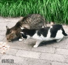我吃完,你才能吃! 我吃完,你才能吃!