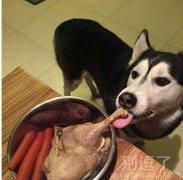 我就在外面蹭蹭。不吃