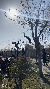 单杠：满身大汉