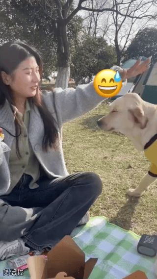 声东击西