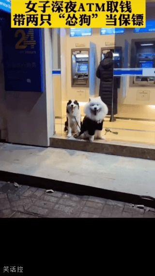 这安保系数有点低