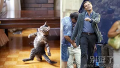 像我一样自信的走