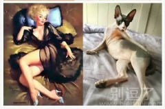 各种妖娆各种诱惑