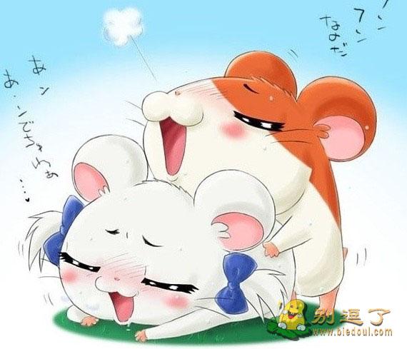 欲望无处不在 欲望无处不在