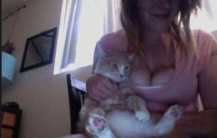 注意:你看了猫了吗 注意:你看了猫了吗