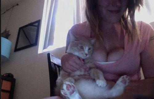 注意:你看了猫了吗 注意:你看了猫了吗