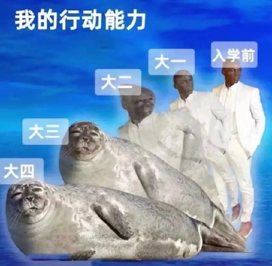 轻松一刻:你见过散养的小姐姐吗?我见过 轻松一刻:你见过散养的小姐姐吗?我见过