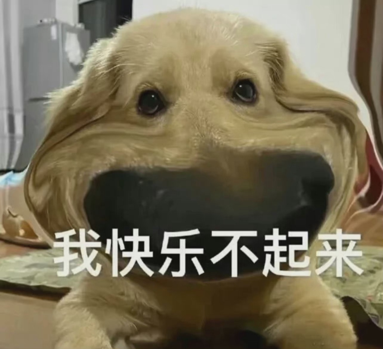 轻松一刻:你见过散养的小姐姐吗?我见过 轻松一刻:你见过散养的小姐姐吗?我见过