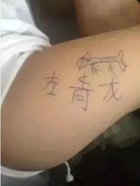 轻松一刻:你见过散养的小姐姐吗?我见过 轻松一刻:你见过散养的小姐姐吗?我见过
