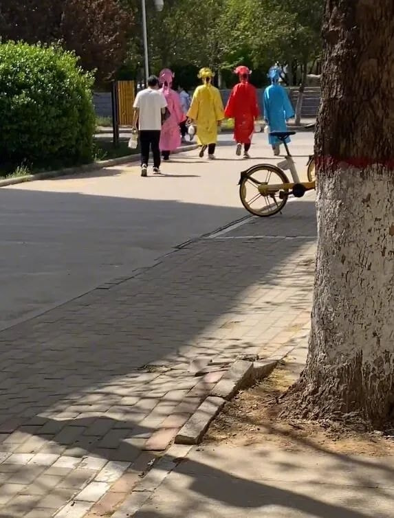 轻松一刻:你见过散养的小姐姐吗?我见过 轻松一刻:你见过散养的小姐姐吗?我见过