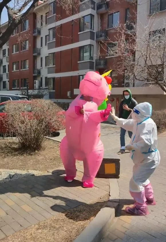 轻松一刻:你见过散养的小姐姐吗?我见过 轻松一刻:你见过散养的小姐姐吗?我见过