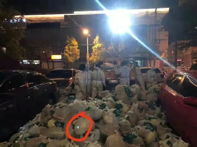 轻松一刻:你见过散养的小姐姐吗?我见过 轻松一刻:你见过散养的小姐姐吗?我见过