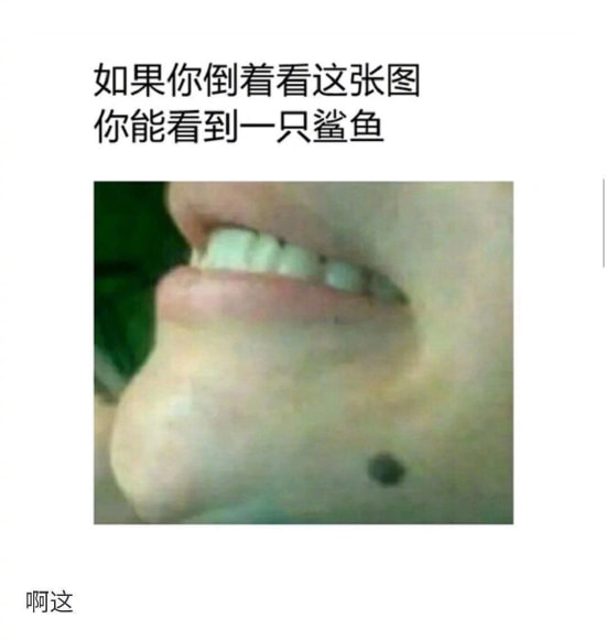 轻松一刻:你见过散养的小姐姐吗?我见过 轻松一刻:你见过散养的小姐姐吗?我见过