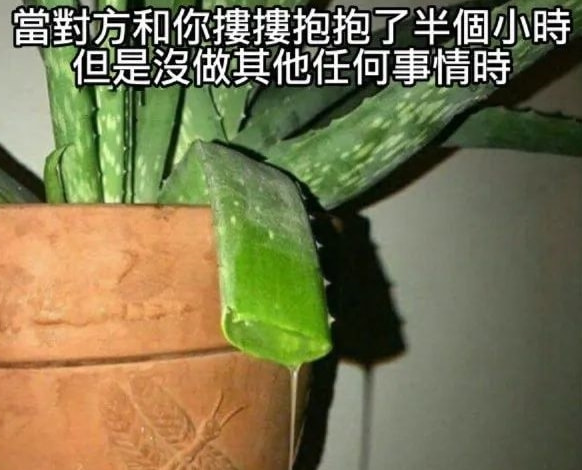 轻松一刻:你见过散养的小姐姐吗?我见过 轻松一刻:你见过散养的小姐姐吗?我见过