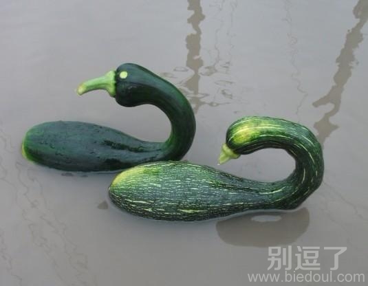 看看我像不像鸭子? 看看我像不像鸭子?