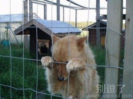 我是冤枉的。。555 我是冤枉的。。555