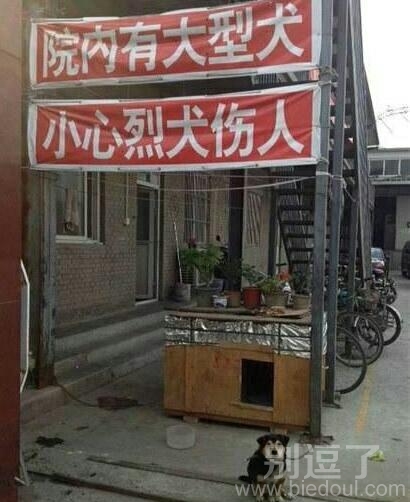 园内有大型恶犬!! 园内有大型恶犬!!