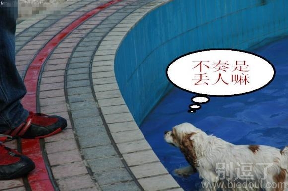 看什么,不就是丢人吗 看什么,不就是丢人吗