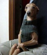 就问你能看出来吗? 就问你能看出来吗?