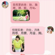 理想和现实的差距 理想和现实的差距