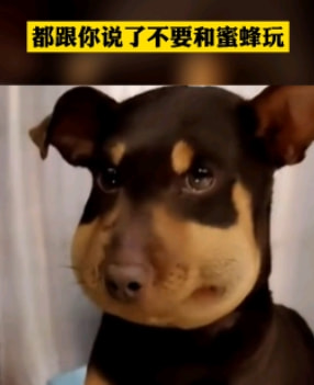 轻松一刻:哥哥你好好坐船头,让妹妹在后面揩把油! 轻松一刻:哥哥你好好坐船头,让妹妹在后面揩把油!