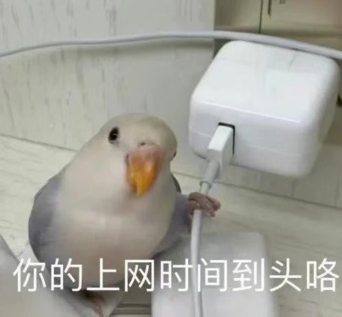 轻松一刻:哥哥你好好坐船头,让妹妹在后面揩把油! 轻松一刻:哥哥你好好坐船头,让妹妹在后面揩把油!