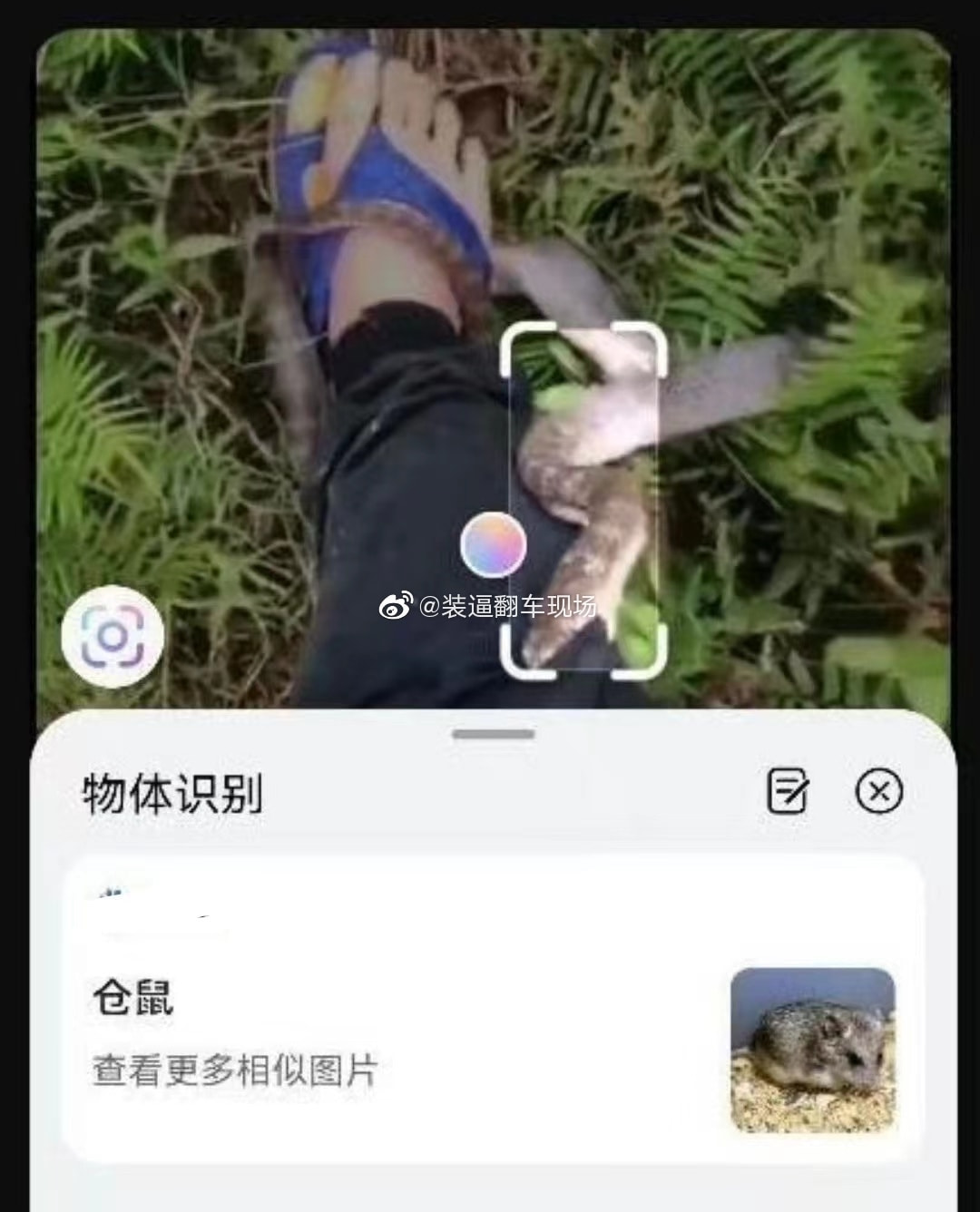 轻松一刻:哥哥你好好坐船头,让妹妹在后面揩把油! 轻松一刻:哥哥你好好坐船头,让妹妹在后面揩把油!
