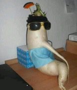 你还舍得吃哦嘛 你还舍得吃哦嘛