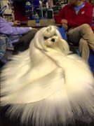 这就是女神 这就是女神