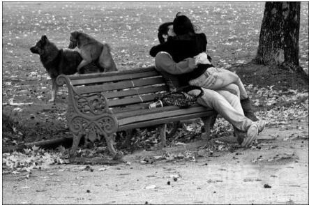 这就是传说的人狗情未了吗 这就是传说的人狗情未了吗