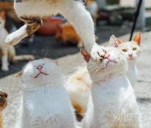 真特么好脸给多了 真特么好脸给多了