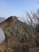 一切都在自己手中的感觉